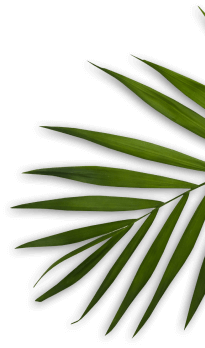 Decorative shape